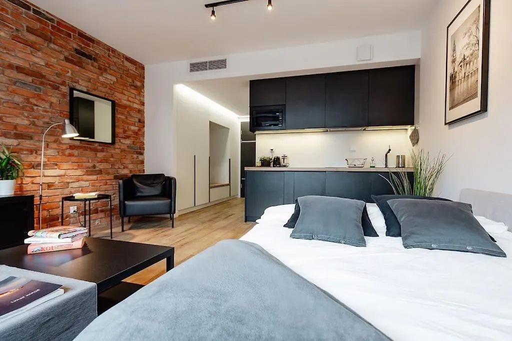 Luxury Standard Apartment In Cracow Krakow Poland